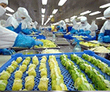 德彩网为生鲜食品厂定制洁净方案，助力食品厂美好环境建设